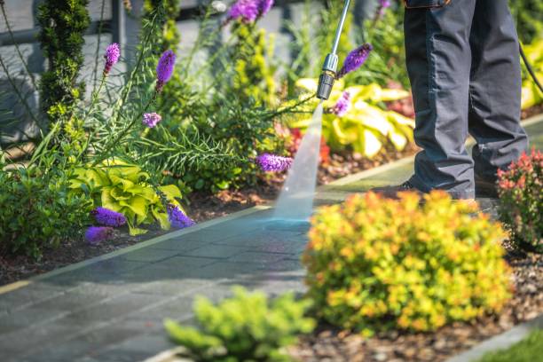 Best Driveway Pressure Washing  in West Union, IA